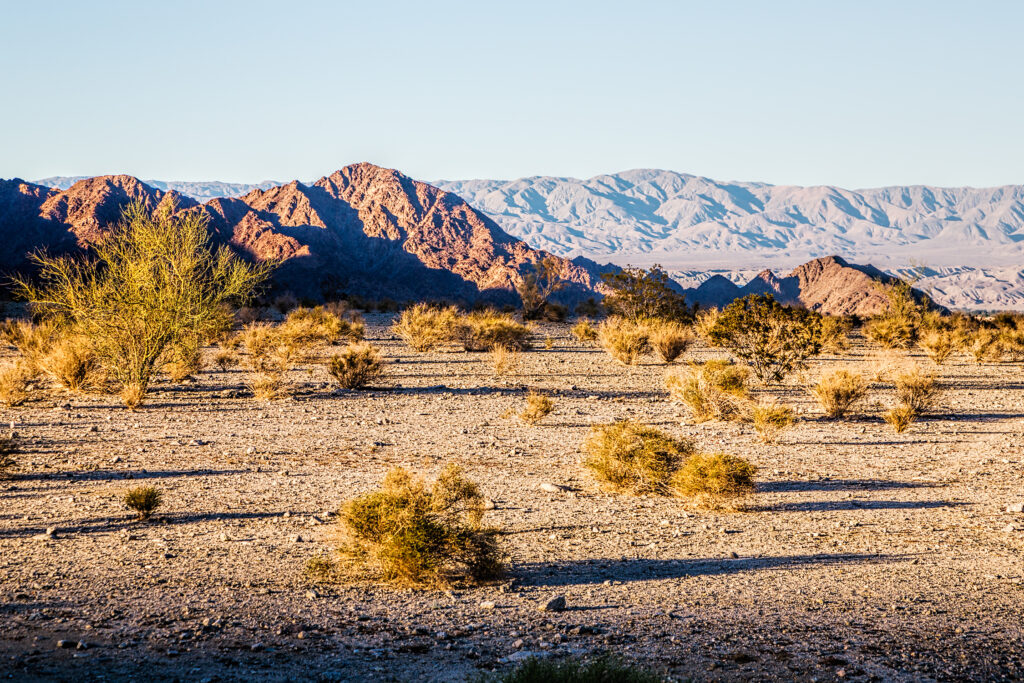 La Quinta Cove Sunset CoSo Copley Society of Art