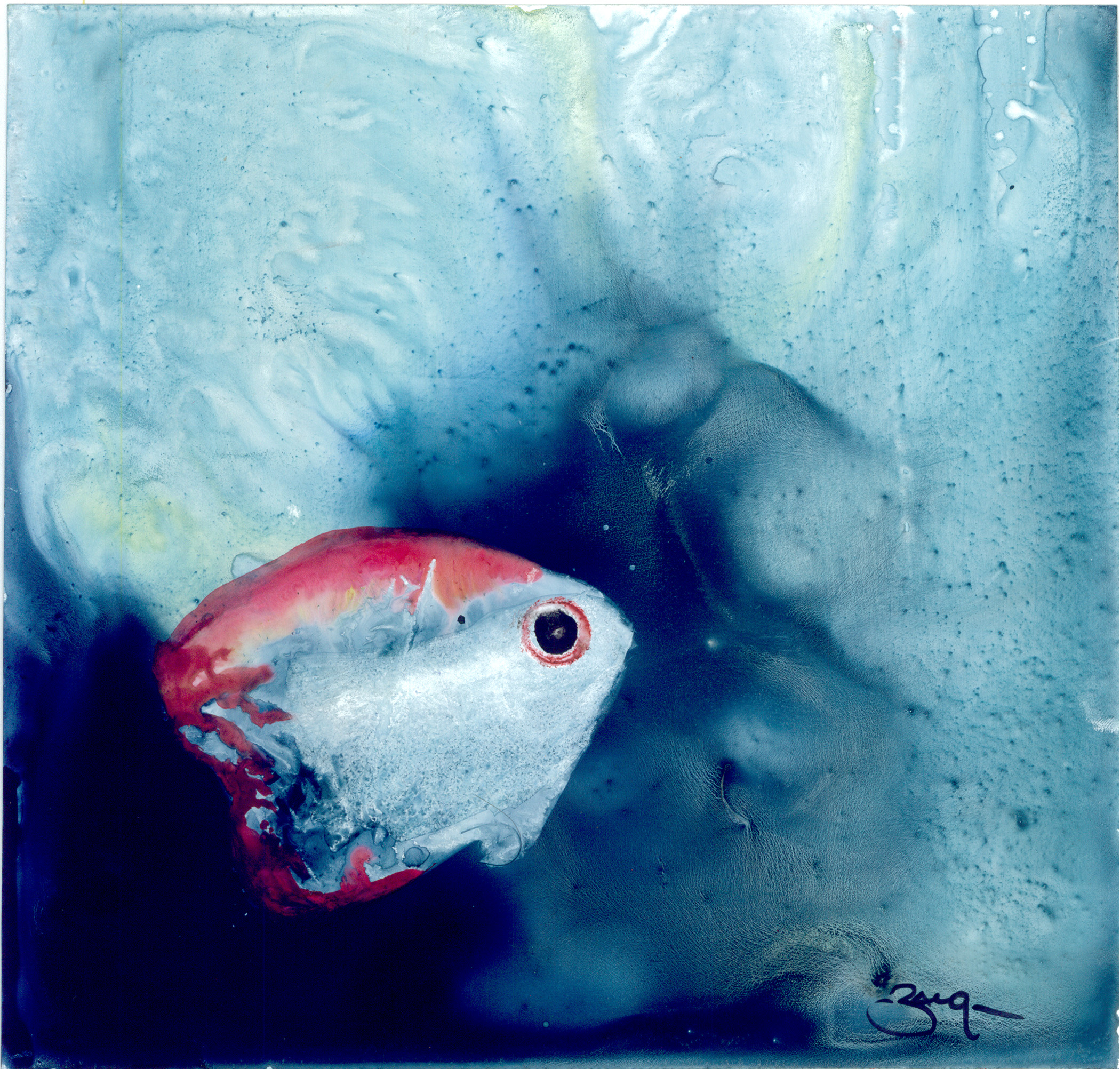 Curious Fish - Co|So - Copley Society of Art