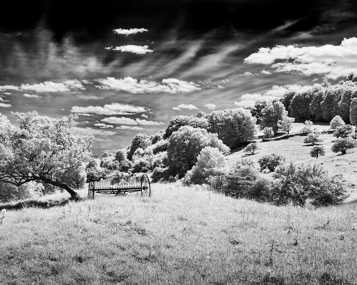 Rake in Waiting CoSo Copley Society of Art