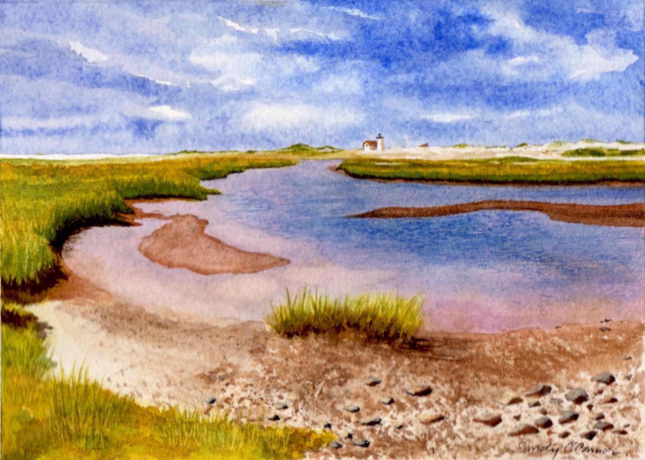 Hatches Harbor Facing Race Point Lighthouse, Provincetown, MA CoSo