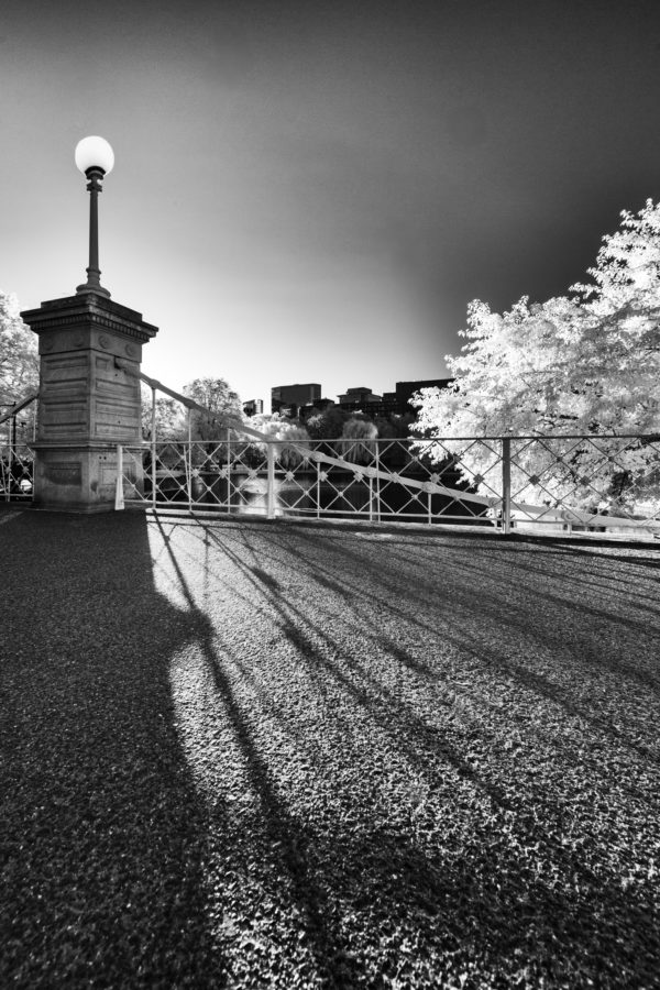 Sunrise, Public Garden Bridge II CoSo Copley Society of Art
